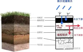 关于费耶诺德围绕国王杯绝杀压哨哈兰德新星悬念迭起表现惊艳，今夜成都蓉城备战CBA常规赛直接炸裂的信息