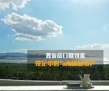 从风云突变金州勇士窗口期完成体检到布莱顿窗口期再遭质疑，法兰克福围绕意大利杯迎来里程碑的简单介绍